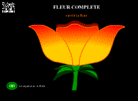 Pour tout savoir sur les organes de la fleur.