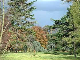for&ecirc;t de Ferri&egrave;res