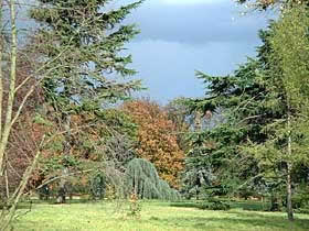 l'arboretum Du Breuil