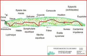 voir le plan du bois de Vincennes