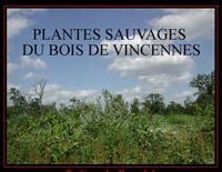 voir l'exposition plantes sauvages du bois de Vincennes