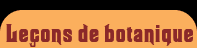Les le�ons de botanique de Pixiflore