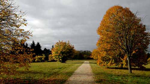 L'arboretum de Chèvreloup