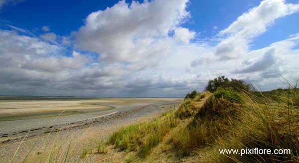Baie de Somme