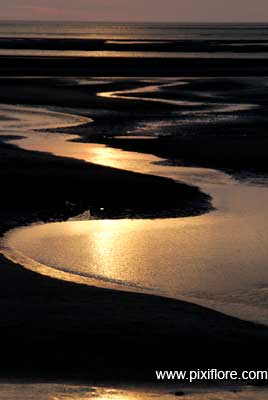 baie de Somme