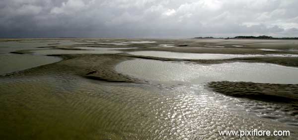 baie de Somme