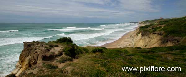 la Lande de Bidart, pays basque