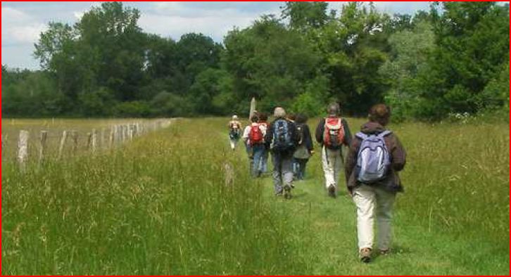 sortie nature avec Richard Bourdoncle